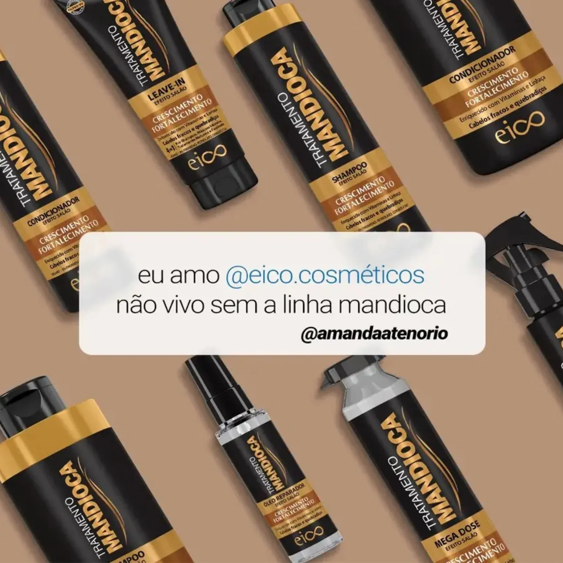 EICO MANDIOCA -2-